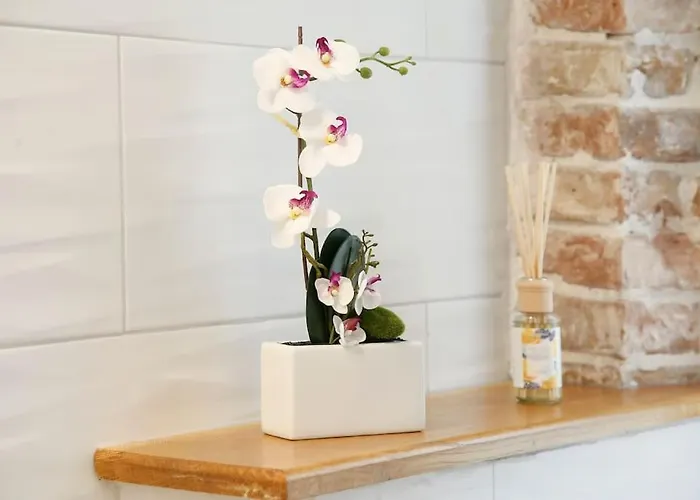 Monfrina 2, Stylish Old Town Near Lägenhet